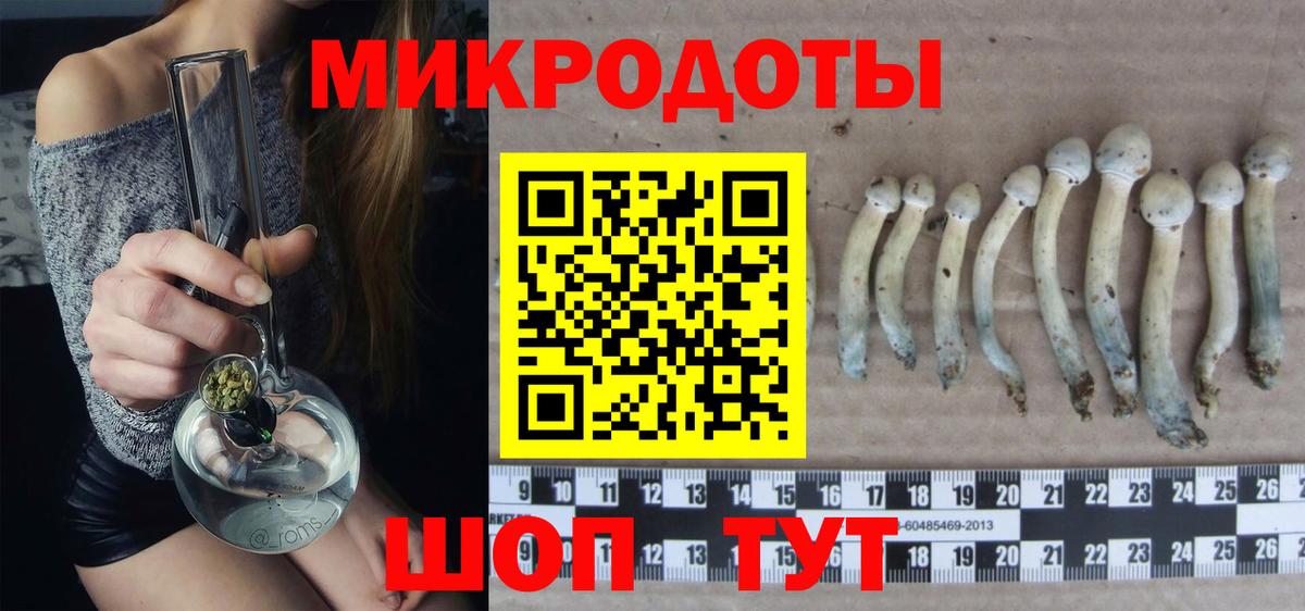 Псилоцибиновые грибы прущие грибы  купить  сайты  Урюпинск  Вход с VPN 